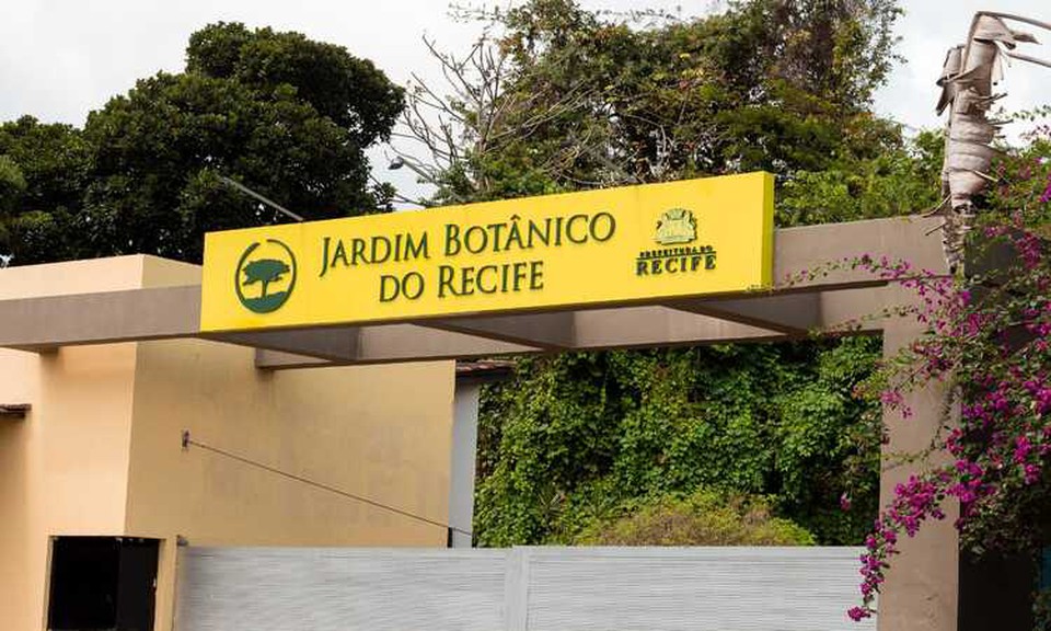 No roteiro, oficina de produo de mudas; oficina de manipulao de plantas medicinais; contao de histria; jogo de tabuleiro, dentre outras aes com a temtica ambiental (Foto: Arquivo/DP)