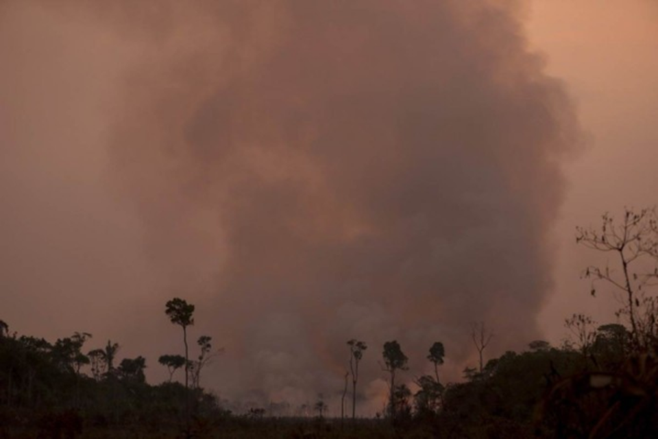 Queimadas ilegais na floresta amaznica s margens da rodovia BR-230 (Rodovia Transamaznica), prximo  cidade de Humait, estado do Amazonas, norte do Brasil, tirada em 4 de setembro de 2024  (Crdito: MICHAEL DANTAS / AFP)