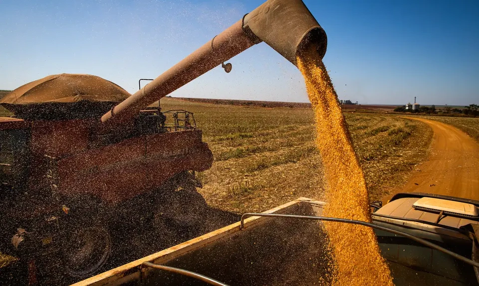 Colheita de arroz antes das enchentes evitou maiores problemas (foto: CNA/ Wenderson Araujo/Trilux)