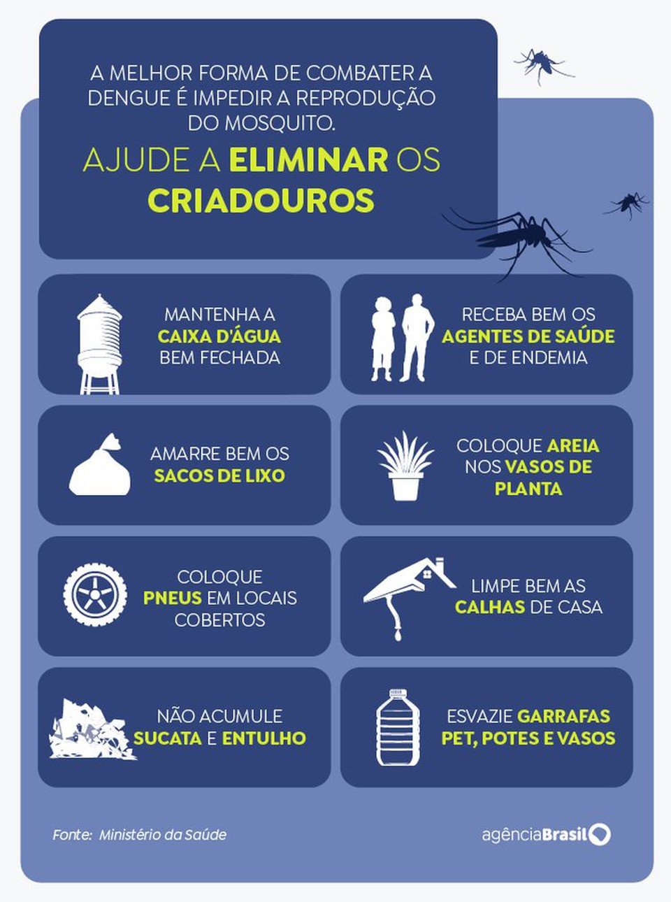 A melhor forma de combater a dengue  impedir a reproduo do mosquito (Crdito: Arte/EBC)