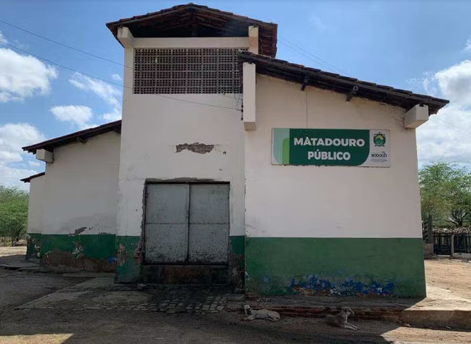 O MPPE instaurou um procedimento administrativo para verificar a estrutura fsica e sanitria do local, alm das condies dos animais (Foto: Divulgao/MPPE)
