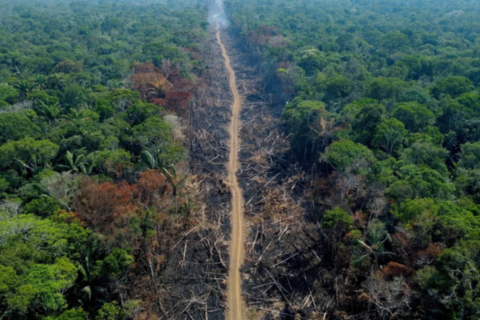 O estudo utilizou dados com ajuda de satlites
 (Crdito: Michael Dantas/AFP/Getty Images)