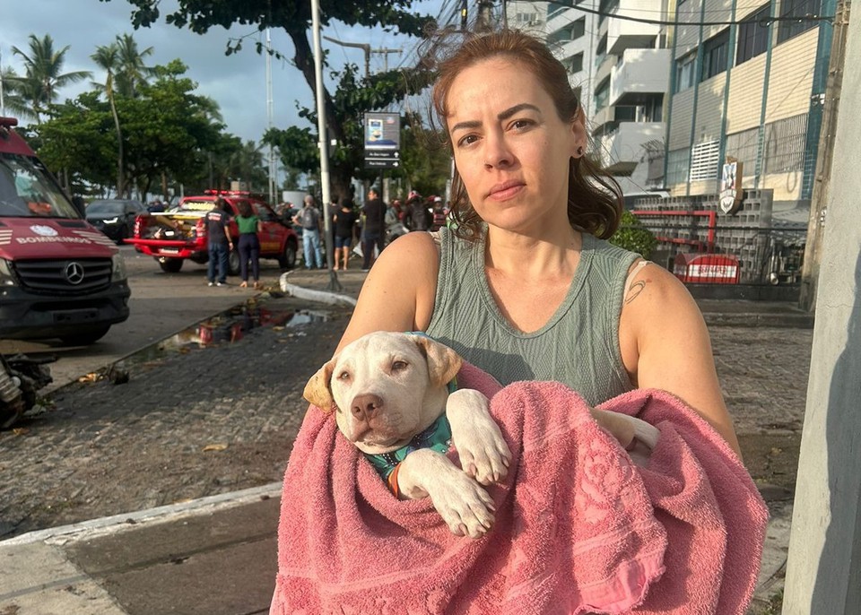 O animal foi resgatado pela jornalista Taciana Ges e pela servidora pblica Cecile Carvalho, que decidiram lev-lo para uma clnica veterinria para receber os primeiros socorros (Foto: Reproduo/Whatsapp)