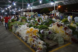 Dia de Finados 2024: Ceasa-PE monta esquema para Reciflor Especial para a data (Foto: Divulgao/CEASA)