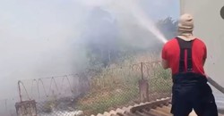  Fogo em rea de mata assusta moradores na Zona Sul do Recife  (Foto: Redes Sociais )