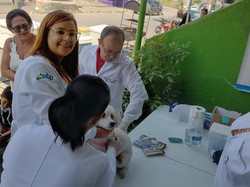 Vacinao antirrbica gratuita e adoo de pets sero realizadas em Caruaru (Foto: Divulgao)