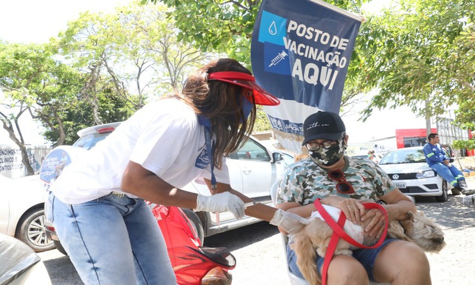 A meta da Secretaria Municipal de Sade  vacinar aproximadamente 80 mil pets (Foto: Chico Bezerra/PMJG)