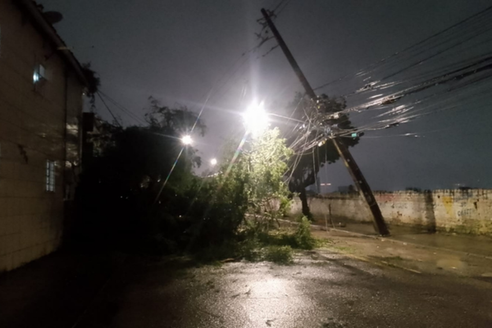 rvore cada na ''Rua da Lama'' (Crdito: Wilson Maranho)