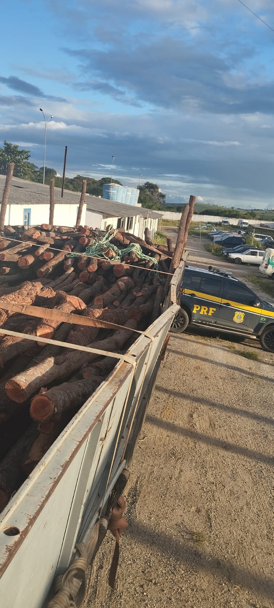 Toras de madeira em situao irregular foram apreendidas  (Foto: PRF)