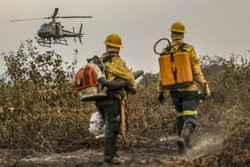 FAB intensifica ataque ao incndio no Pantanal (Objetivo da ajuda da Fora Area  potencializar o trabalho dos bombeiros contra os focos de fogo na vegetao - (crdito: Marcelo Camargo/Agncia Brasil)
)