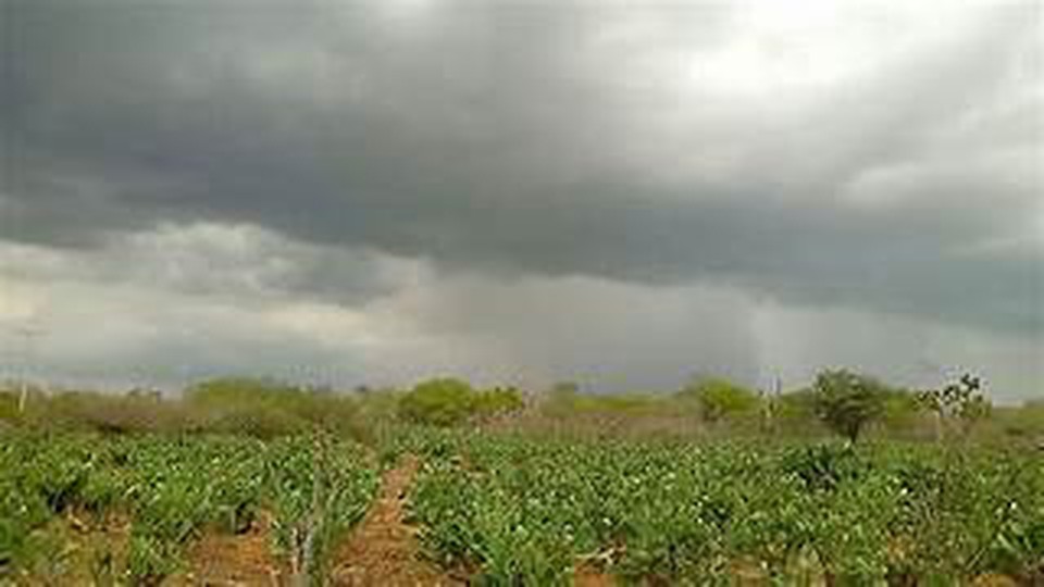 Serto tem previso de chuva at forte  (Foto: Arquivo)