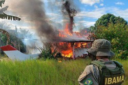 A determinao para a volta ao trabalho ocorre em meio aos incndios e desmatamentos recordes no Pantanal 