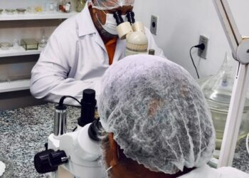 Análises laboratoriais de vigilância sanitária de alimentos retornam em PE