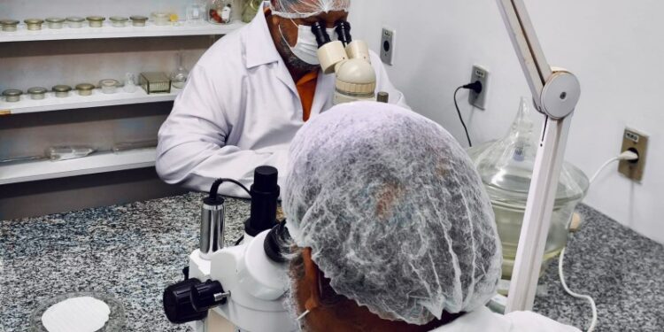 Análises laboratoriais de vigilância sanitária de alimentos retornam em PE