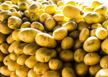 Alimento inesperado não engorda e pode ser achado em qualquer lugar