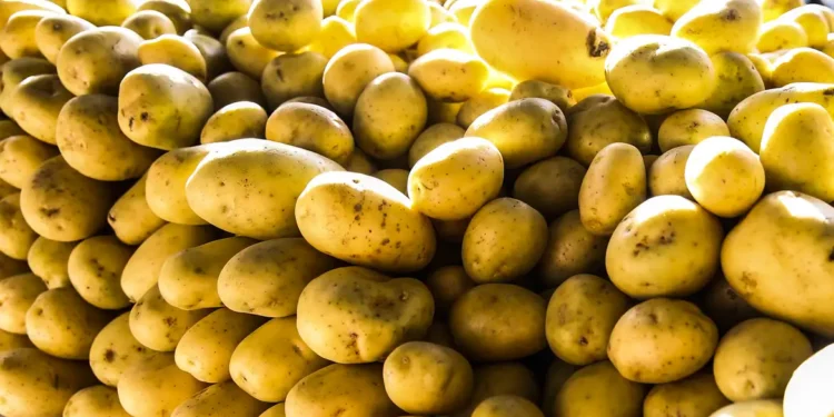 Alimento inesperado não engorda e pode ser achado em qualquer lugar