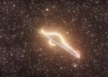 Evento raro mostra buraco negro fora do núcleo engolindo uma estrela