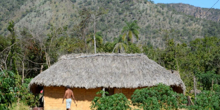 Comunidade quilombola denuncia exploração clandestina de terras raras