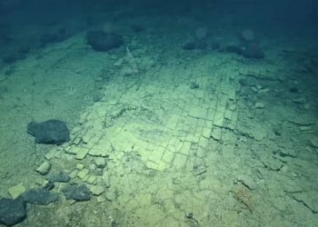 Fundo do Pacífico exibe padrão que imita estrada pavimentada