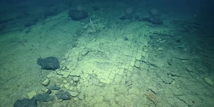 Fundo do Pacífico exibe padrão que imita estrada pavimentada