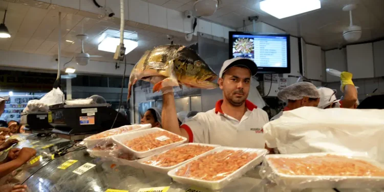 Dieta para cérebro: alimentos que melhoram concentração