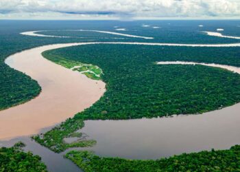 Território estratégico no rio Amazonas provoca disputa entre nações