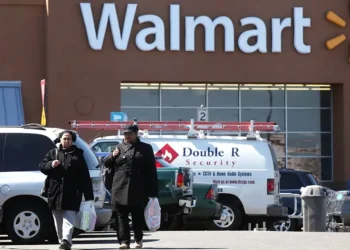 Autoridades encontram elemento que coloca vida em risco nos camarões vendidos nos Estados Unidos