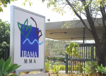 Pescadores vão tomar multa altíssima do Ibama