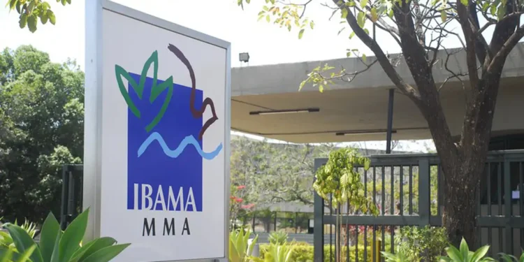 Pescadores vão tomar multa altíssima do Ibama