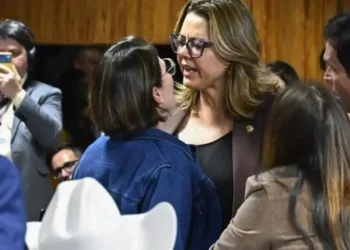 Deputada e senadora quase saem na mão durante audiência do INSS