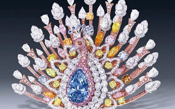 Animal aparece preso dentro de jóia rara que vale R$ 490 milhões