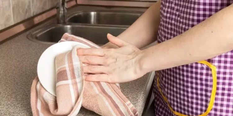 Mulheres que atuam como donas de casa podem garantir salários extras e auxílios