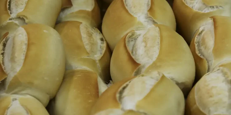 Comer pão todos os dias traz impacto assustador no corpo humano