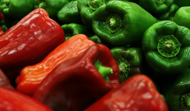 Novo preço das cestas básicas coloca comida na mesa de forma muito mais barata