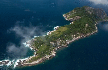 Ilha tomada por serpentes fica escondida no Brasil e possui lendas bizarras