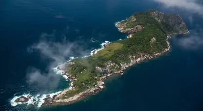 Ilha tomada por serpentes fica escondida no Brasil e possui lendas bizarras