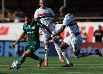 Palmeiras não quer nem saber e tira sarro do São Paulo nas redes sociais