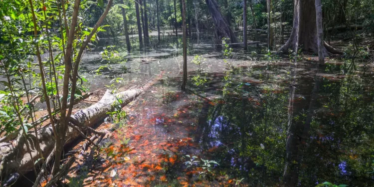 Presença de dinossauros na Amazônia foi confirmada por cientistas