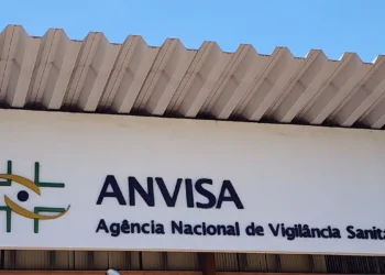 Anvisa toma decisão surpreendente sobre venda de cannabis no Brasil
