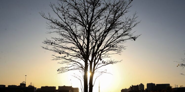 Nova descoberta sobre aquecimento global intriga cientistas