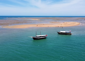 Paraíso brasileiro