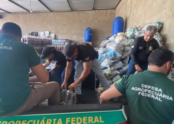 Fábricas clandestinas foram fechadas no Brasil