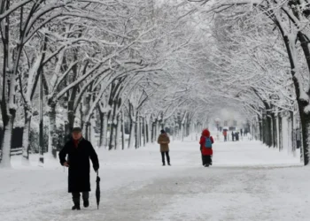 inverno