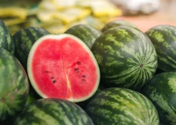 Cidade de apenas 14 mil habitantes produz toneladas de melancias por ano