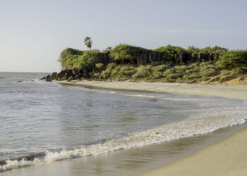 Praia brasileira que poucos conhecem faz o mar brilhar à noite igual cena de filme