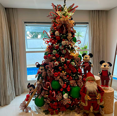 Nova planta que chegou nas floriculturas coloca fim no ciclo da árvore de Natal