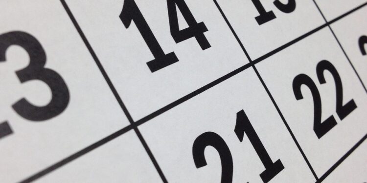 Próximo feriado de novembro: quando vai acontecer?