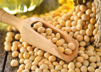 Maior produtor de soja do Brasil entrou em crise e situação ficou crítica