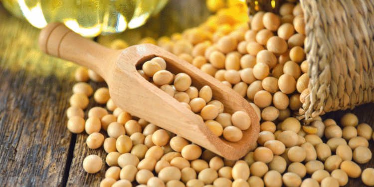 Maior produtor de soja do Brasil entrou em crise e situação ficou crítica