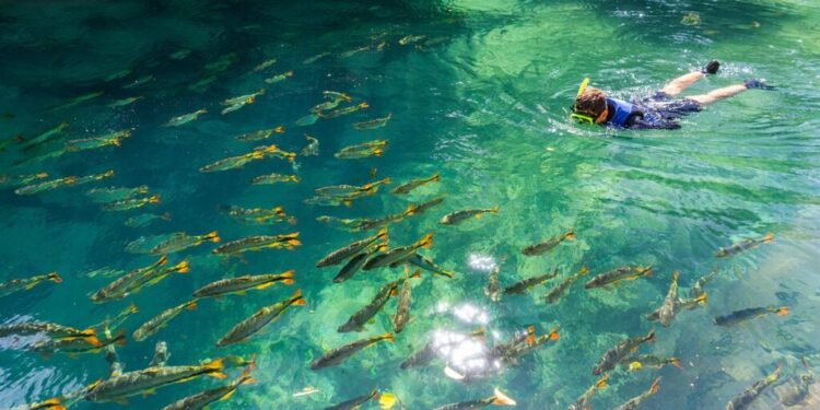 Cidade brasileira que poucos conhecem tem fenômeno inédito que deixa águas cristalinas